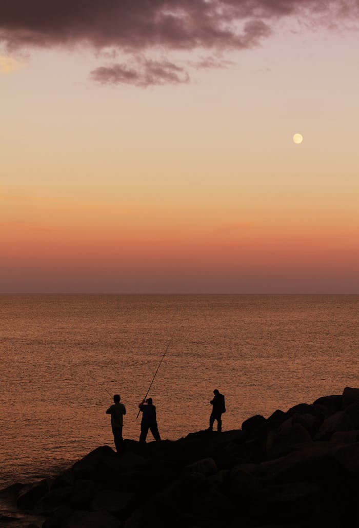 Silhouetted fishermen casting lines during a beautiful sunset by the coast.